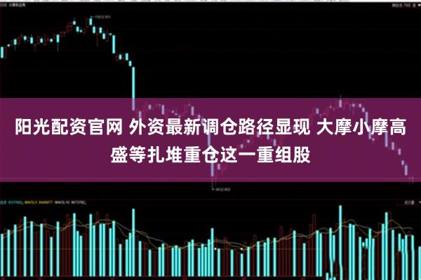 阳光配资官网 外资最新调仓路径显现 大摩小摩高盛等扎堆重仓这一重组股