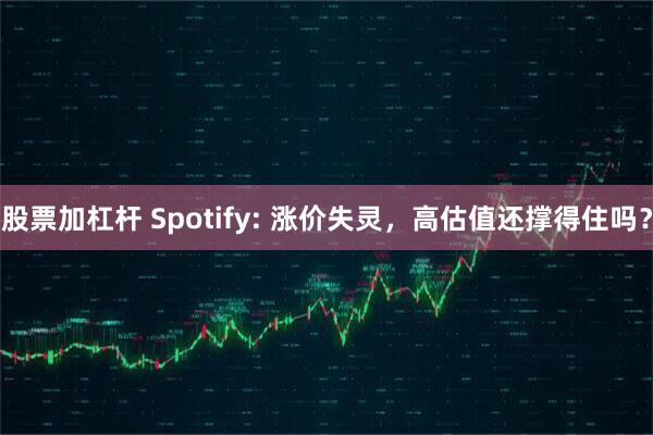 股票加杠杆 Spotify: 涨价失灵，高估值还撑得住吗？