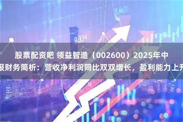 股票配资吧 领益智造（002600）2025年中报财务简析：营收净利润同比双双增长，盈利能力上升