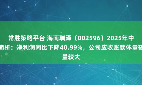 常胜策略平台 海南瑞泽（002596）2025年中报简析：净利润同比下降40.99%，公司应收账款体量较大
