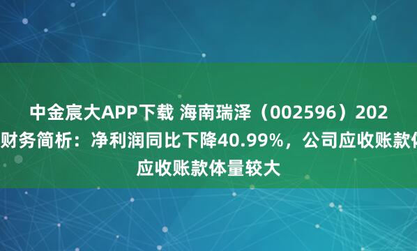 中金宸大APP下载 海南瑞泽（002596）2025年中报财务简析：净利润同比下降40.99%，公司应收账款体量较大
