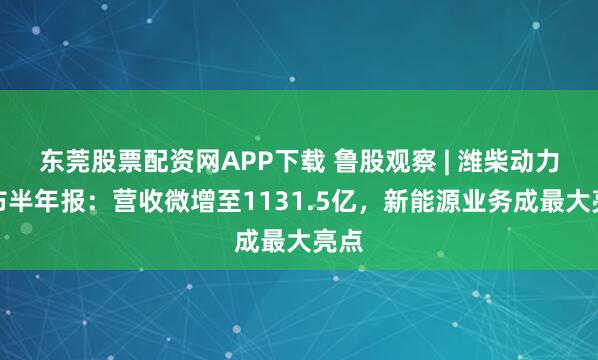 东莞股票配资网APP下载 鲁股观察 | 潍柴动力发布半年报：营收微增至1131.5亿，新能源业务成最大亮点